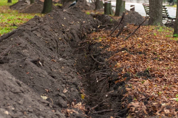 Costruzione del fosso di trincea nel Parco in autunno — Foto Stock
