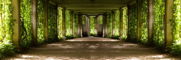 Panorama de uma colunata com colunas antigas cobertas de uva selvagem — Fotografia de Stock
