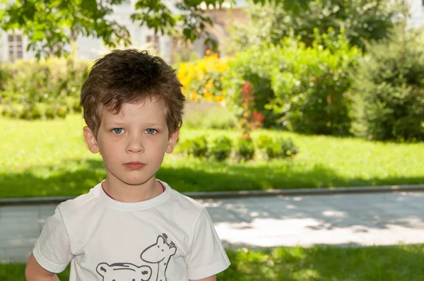 Кудрявый маленький мальчик, внимательно глядя в линзы, летом в — стоковое фото