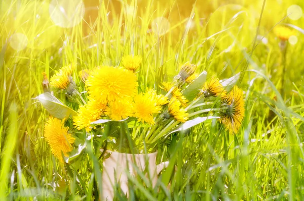 Vase with dandelions in the grass, filter applied — Stock Photo, Image