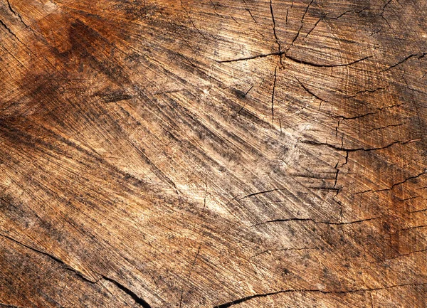 Aged wood texture close-up, cracks and scratches top view — Stock Photo, Image