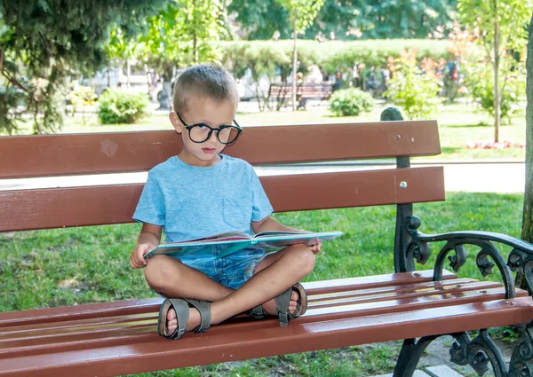 Черноглазый мальчик читает книгу на скамейке в парке — стоковое фото