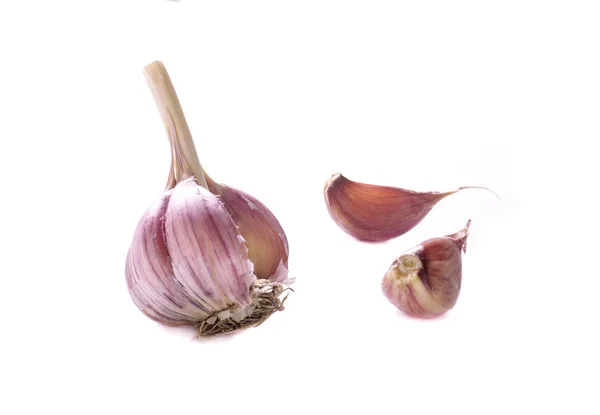 마늘과 마늘 정 향 흰색 배경에 고립 — 스톡 사진