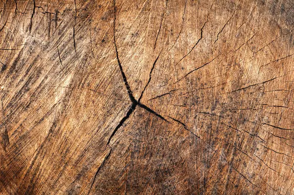 Tekstura tło starzejące się drewna zbliżenie — Zdjęcie stockowe