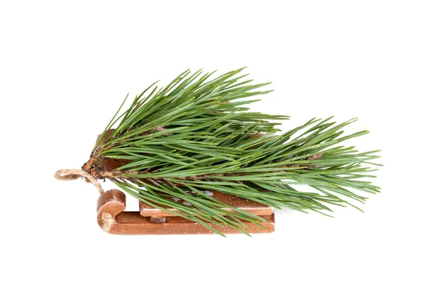 Green spruce branch on wooden sled isolated on a white backgroun — ストック写真