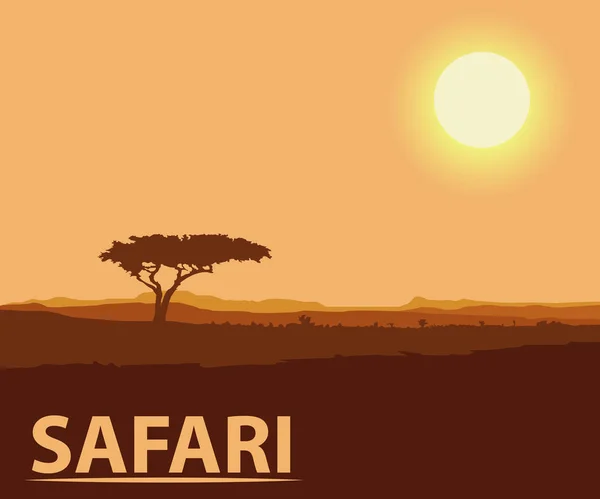 Safari natureza na cor — Vetor de Stock