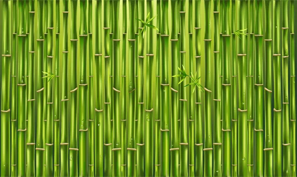 Green Bamboo Fence Vector Texture Background Bamboo Panora — Stock Vector
