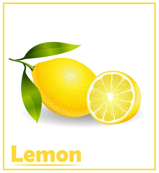 Renk gerçekçi limon vektörü, doku