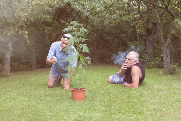 Idősek, dohányzás marihuána és a pihenésre a kertben — Stock Fotó