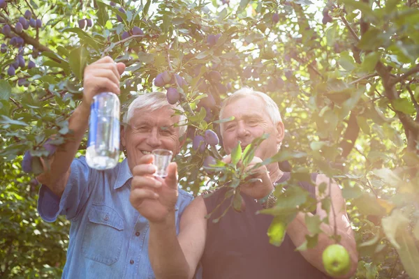 Happy seniors with alcohol under fruit trees — Stock fotografie