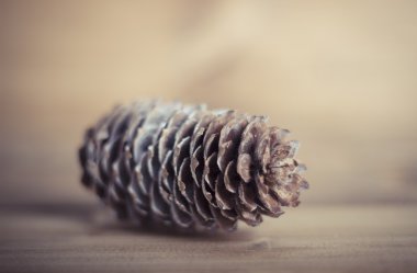 Mevsimlik ahşap arka plan Christmas şiş