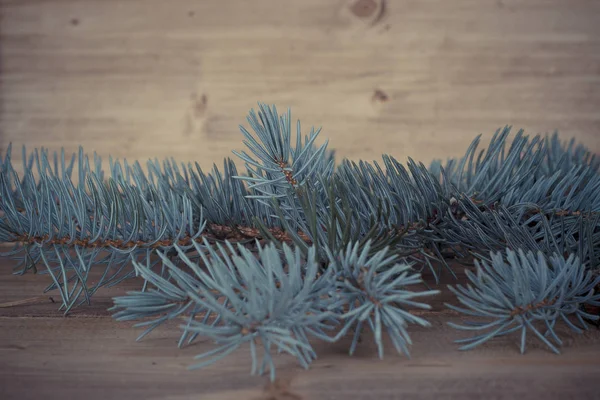 Синя гілка ялини на дерев'яному фоні — стокове фото