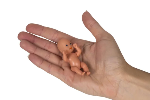 Έμβρυο στο χέρι γυναίκα που απομονώνονται σε λευκό — Φωτογραφία Αρχείου