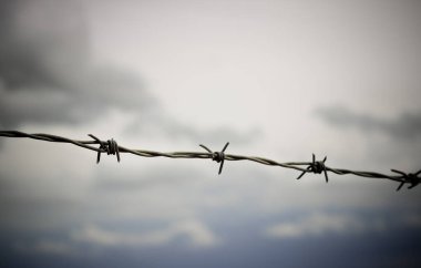 Dikenli tellerin silueti 