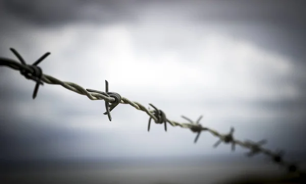 Silhouette of barbed wire o — Stock Photo, Image