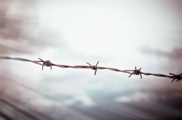 Silhouette of barbed wire — Stock Photo, Image