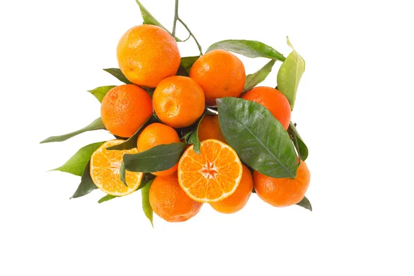 Ramo de tangerinas / mandarinas sobre branco — Fotografia de Stock