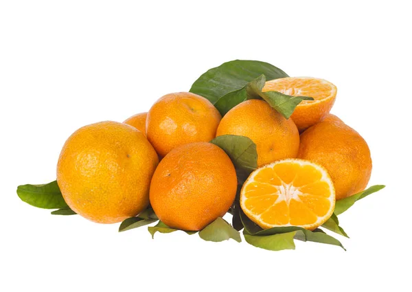 Branch of tangerines/ mandarins on white — Stock Photo, Image