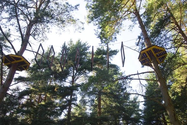 Corda parque de aventura em uma floresta de verão cenário céu azul cênico. Superando obstáculos e atingindo alturas conceito abstrato — Fotografia de Stock