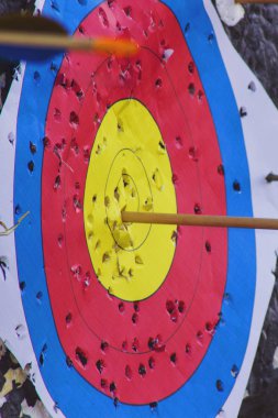 Okçuluk hedefle, bullseye oku