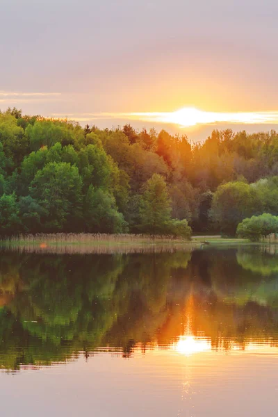 Ein ruhiger Sonnenuntergang am Ufer des Sees, wo sich der Wald in ruhigem Wasser mit Dunst und Nebel spiegelt — Stockfoto