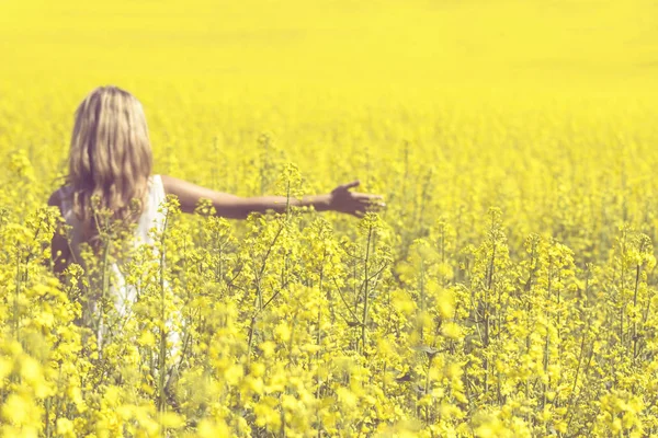 Mulher com visão traseira de cabelo longo, campo de canola de colza amarelo desfrutando da natureza e da luz solar . — Fotografia de Stock