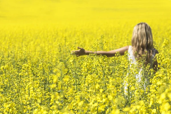 Mulher com visão traseira de cabelo longo, campo de canola de colza amarelo desfrutando da natureza e da luz solar . — Fotografia de Stock