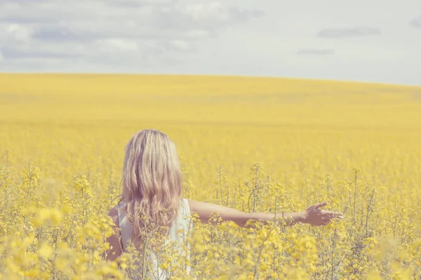 Mulher com visão traseira de cabelo longo, campo de canola de colza amarelo desfrutando da natureza e da luz solar . — Fotografia de Stock