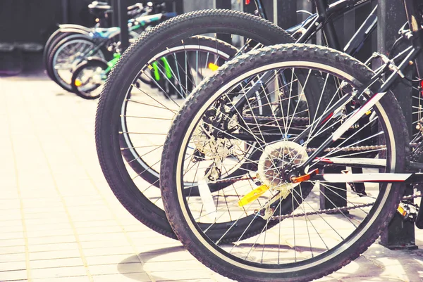 Bicycle parking area with group of colorful bicycles parked together