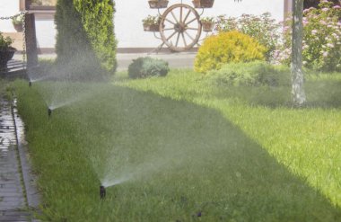 Güneşli bir sonbahar gününde sulama çim yağmurlama.