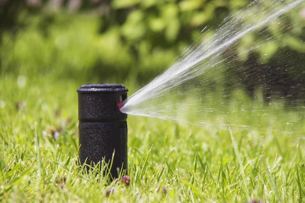 Çim yağmurlama eylem. Bahçe yağmurlama çim sulama. otomatik sprinkler. — Stok fotoğraf