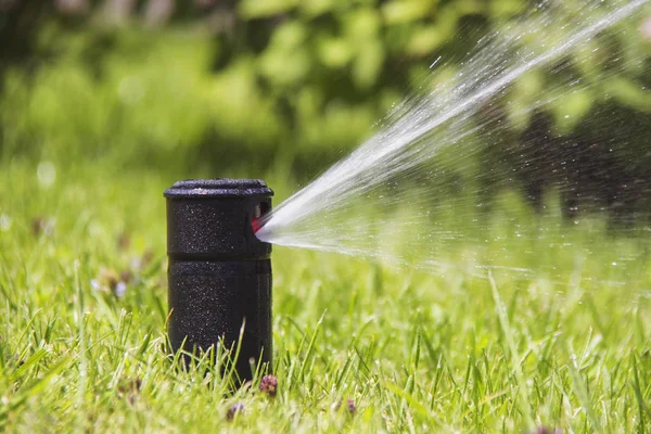 çim yağmurlama eylem. Bahçe yağmurlama çim sulama. otomatik sprinkler.