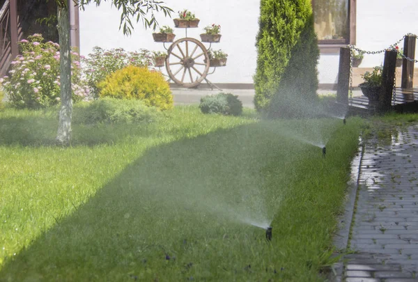 Güneşli bir sonbahar gününde sulama çim yağmurlama. — Stok fotoğraf