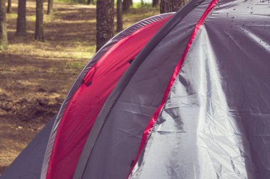 Çadır yakın çekim yaz aylarında bir çam ormanı içinde parçası.