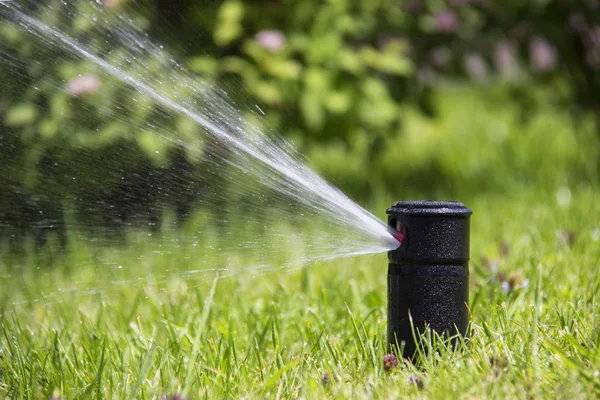 Çim yağmurlama eylem. Bahçe yağmurlama çim sulama. otomatik sprinkler. — Stok fotoğraf