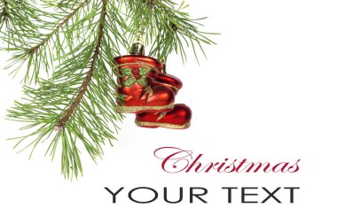 Kısa iğne ile Noel ağacı dalı beyaz arka plan üzerinde izole oyuncaklar dekore edilmiştir.