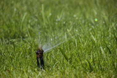 çim yağmurlama eylem. Bahçe yağmurlama çim sulama. otomatik sprinkler.
