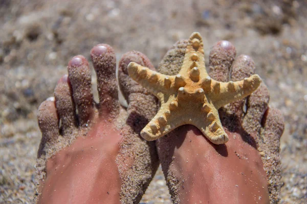 Mujer relajante en la playa con pies de arena y estrellas de mar . — Foto de Stock