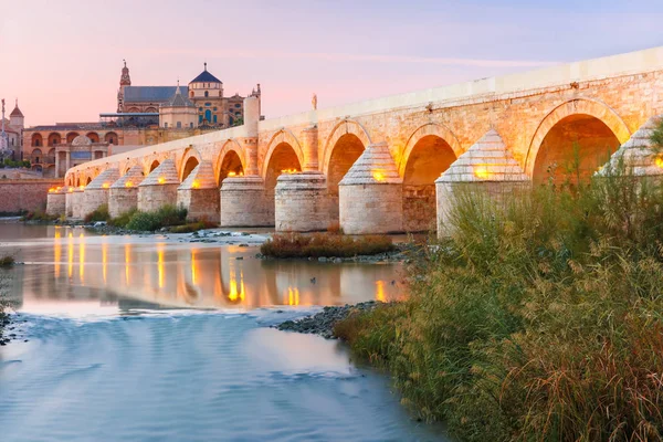 Mezquita and Roman bridge in Cordoba, Spain — Stock Photo, Image