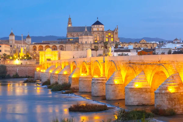 Gece Endülüs ve Roma köprüsü Cordoba, İspanya — Stok fotoğraf