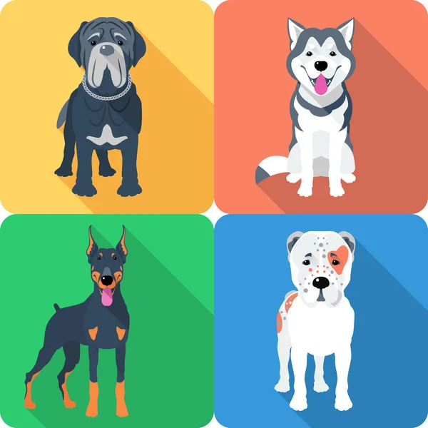 Hond Mastino Napoletano pictogram plat ontwerp — Stockvector