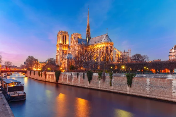 Catedral de Notre Dame de Paris al atardecer, Francia —  Fotos de Stock