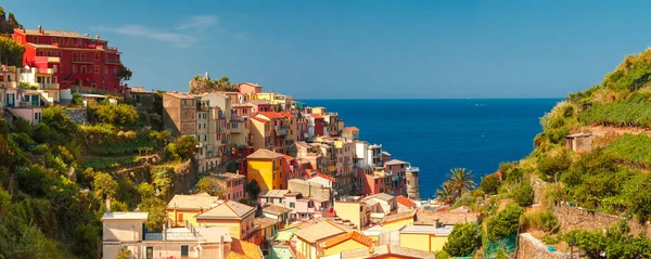 Vista aérea de Manarola, Cinque Terre, Liguria, Italia — Foto de Stock