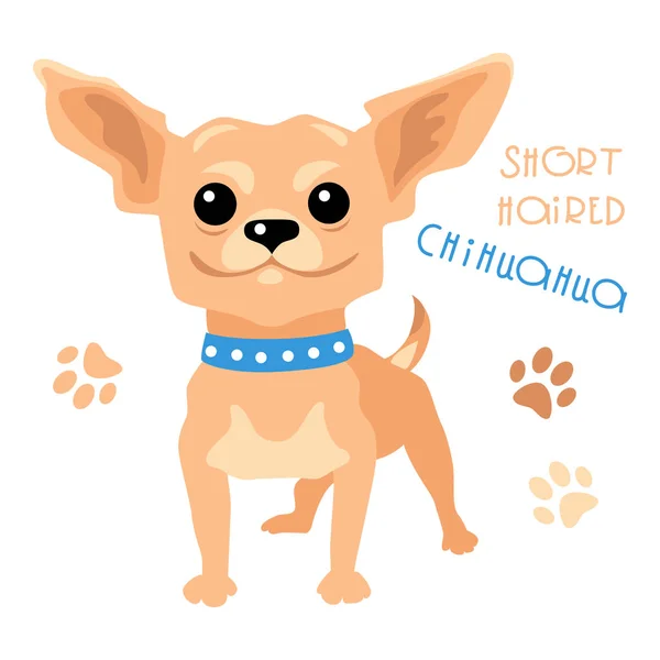 Chihuahua Chihuahua Chihuahua Chihuahua Chihuahua Chihuahua Chihuahua Chihuahua Chihuahua Chihuahua Chihuahua Chihuahua Chihuahua Chihuahua Chihuahua — Image vectorielle