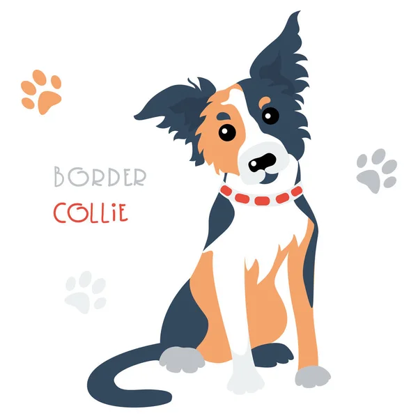 Vektor vicces Border Collie tricoloured kutya ülő — Stock Vector