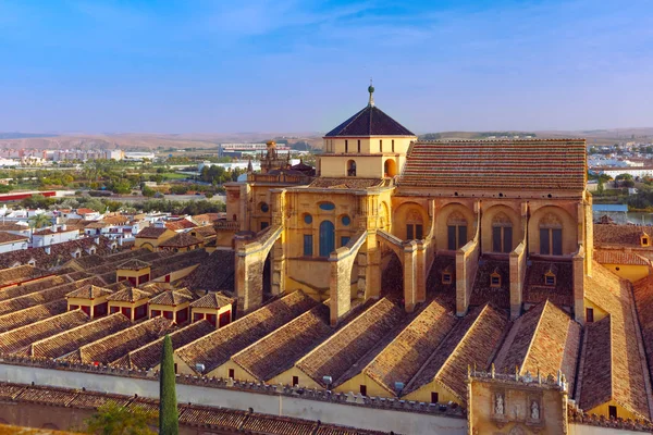 Panorama van de Mezquita in Cordoba, Spanje — Stockfoto