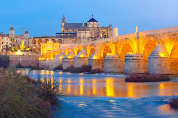 Night Mezquita and Roman bridge in Cordoba, Spain — Stock Photo, Image