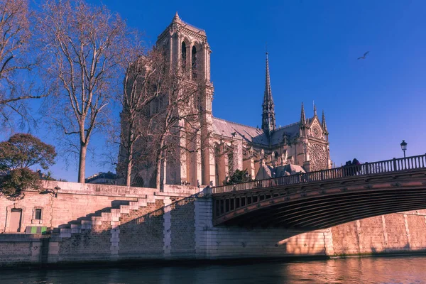 Catedral de Notre Dame de Paris, Francia —  Fotos de Stock