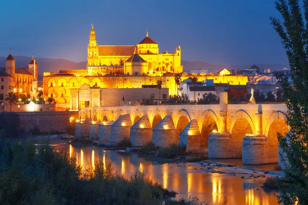 Night Mezquita and Roman bridge in Cordoba, Spain — Stock Photo, Image