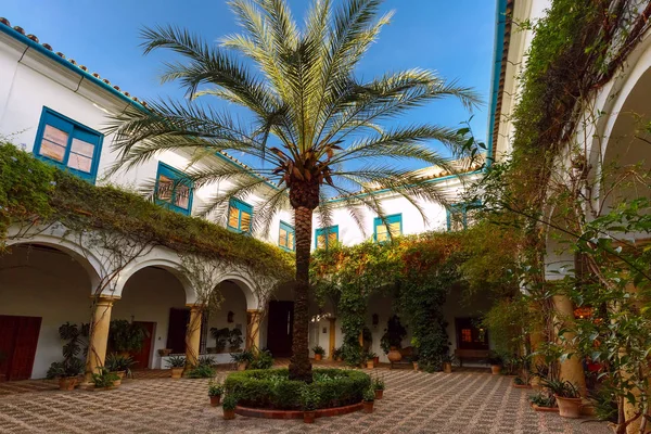 Cour ensoleillée à Cordoue, Espagne — Photo